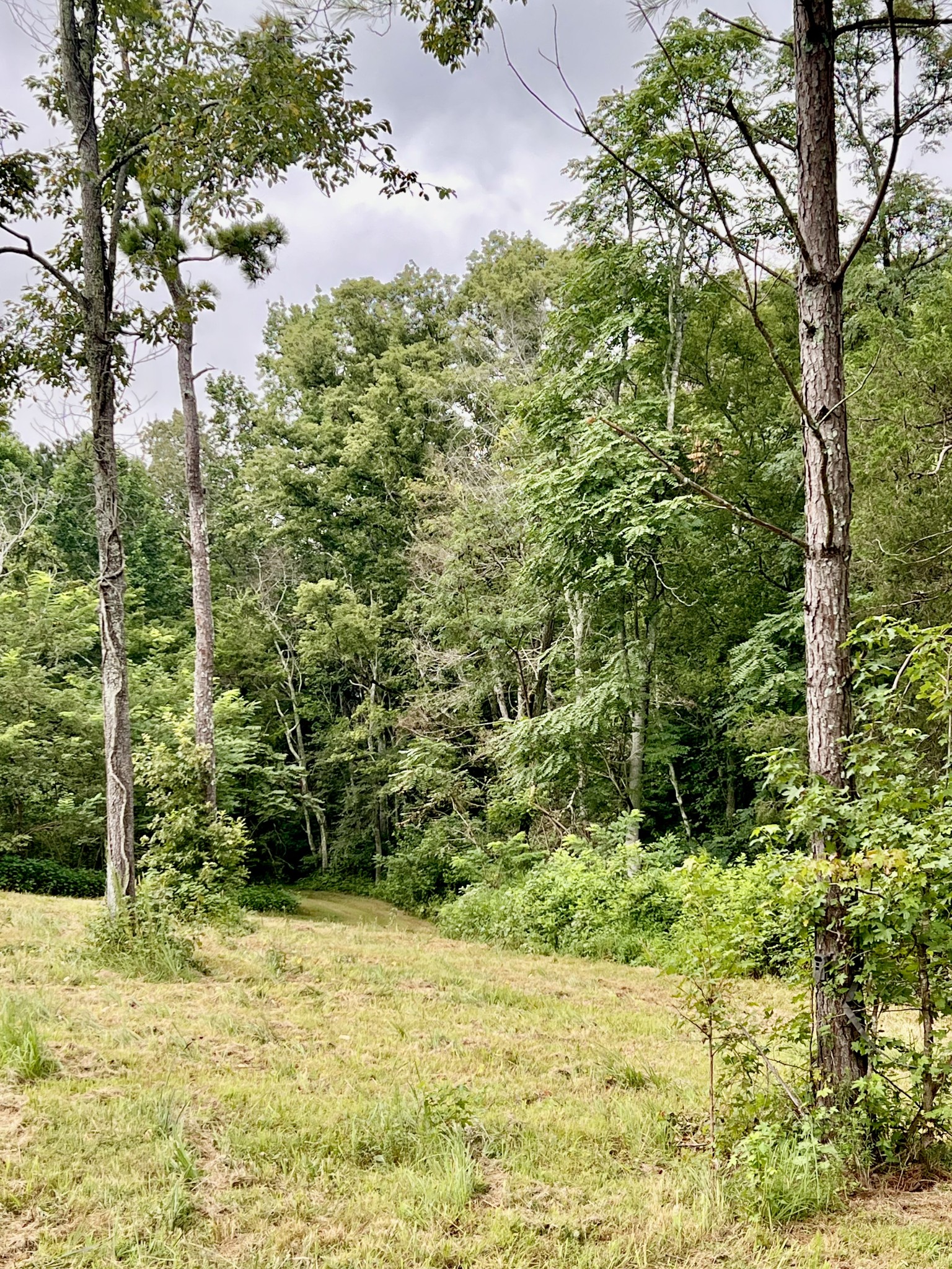 581 Goresville Road Prospect, TN 38477 - Photo 9 of 38 Gallery Image 9
