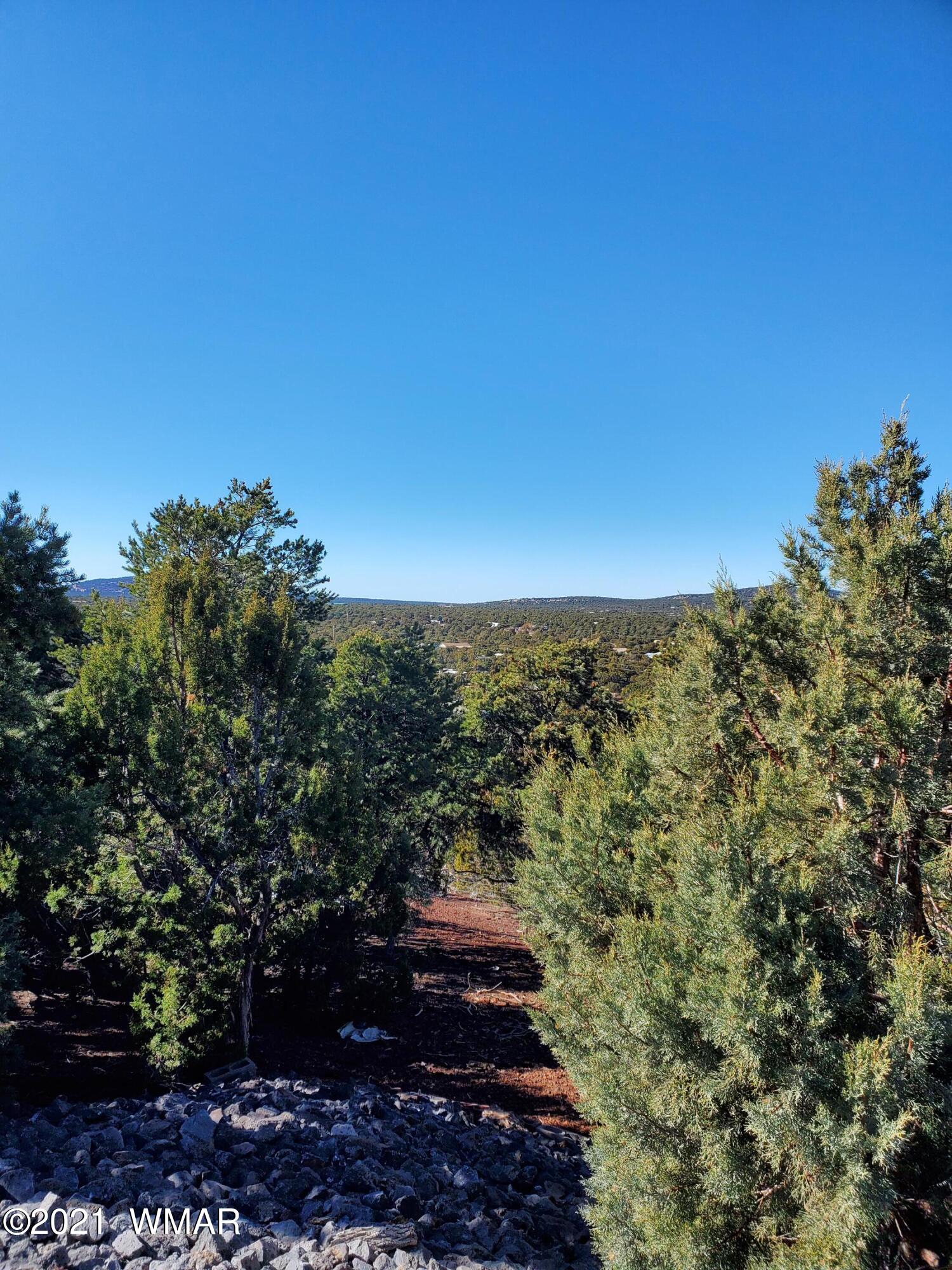 40 N3129 Show Low, AZ 85901 - Photo 5 of 22