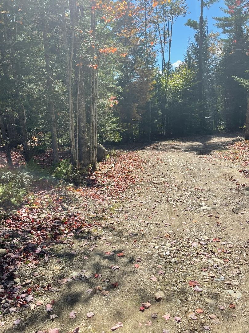 Old Schoolhouse Road, Unit 5 Eden, VT 05653 - Photo 2 of 6