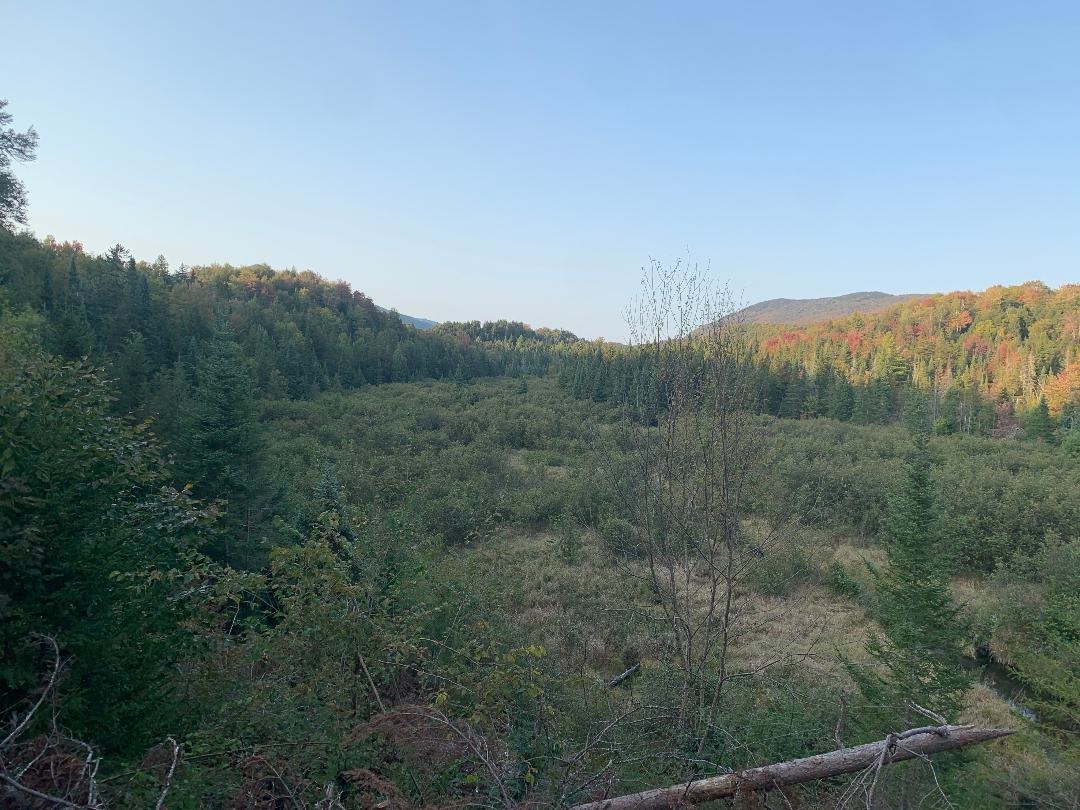 Old Schoolhouse Road, Unit 5 Eden, VT 05653 - Photo 5 of 6