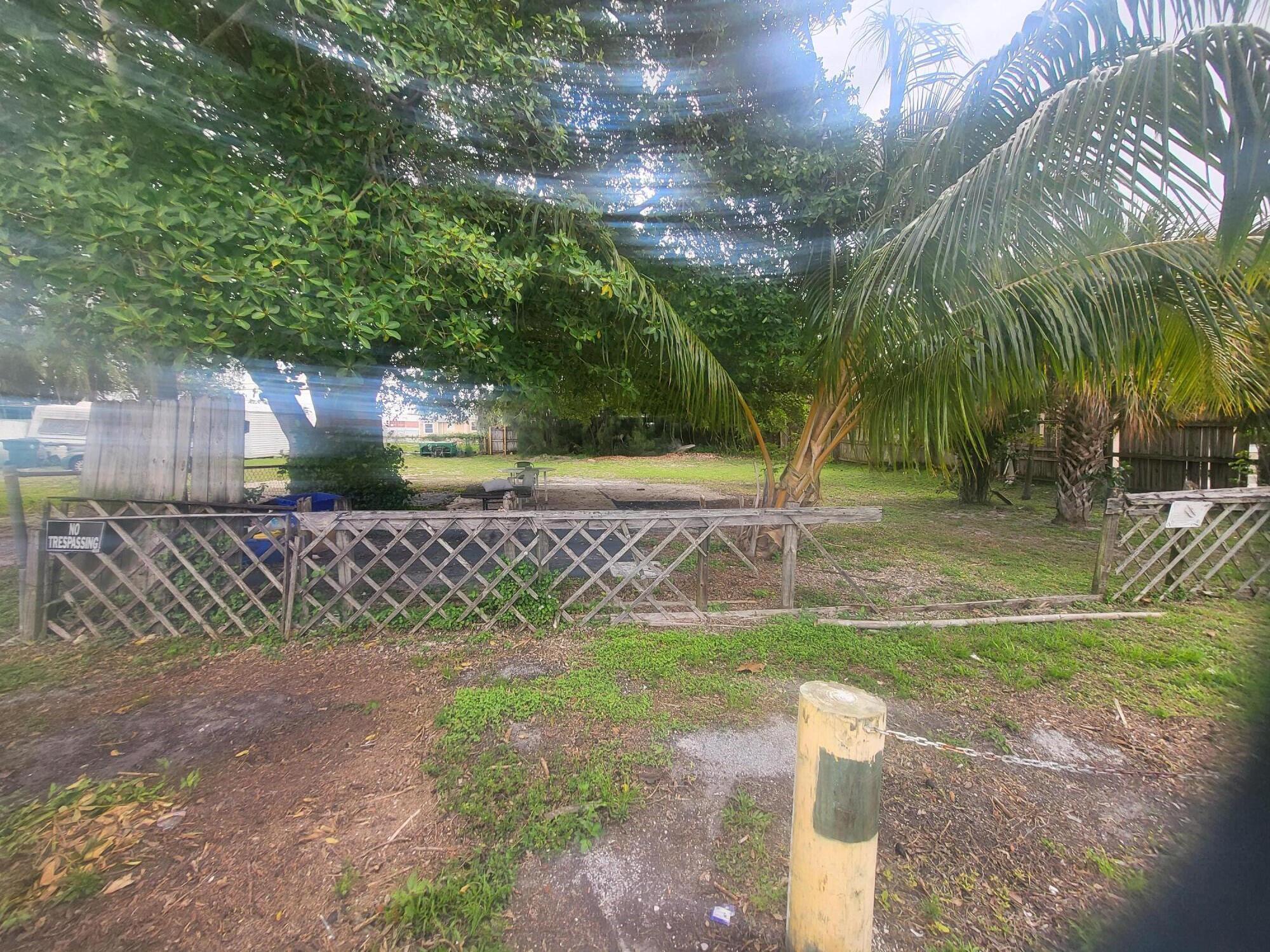 a view of a yard with palm trees