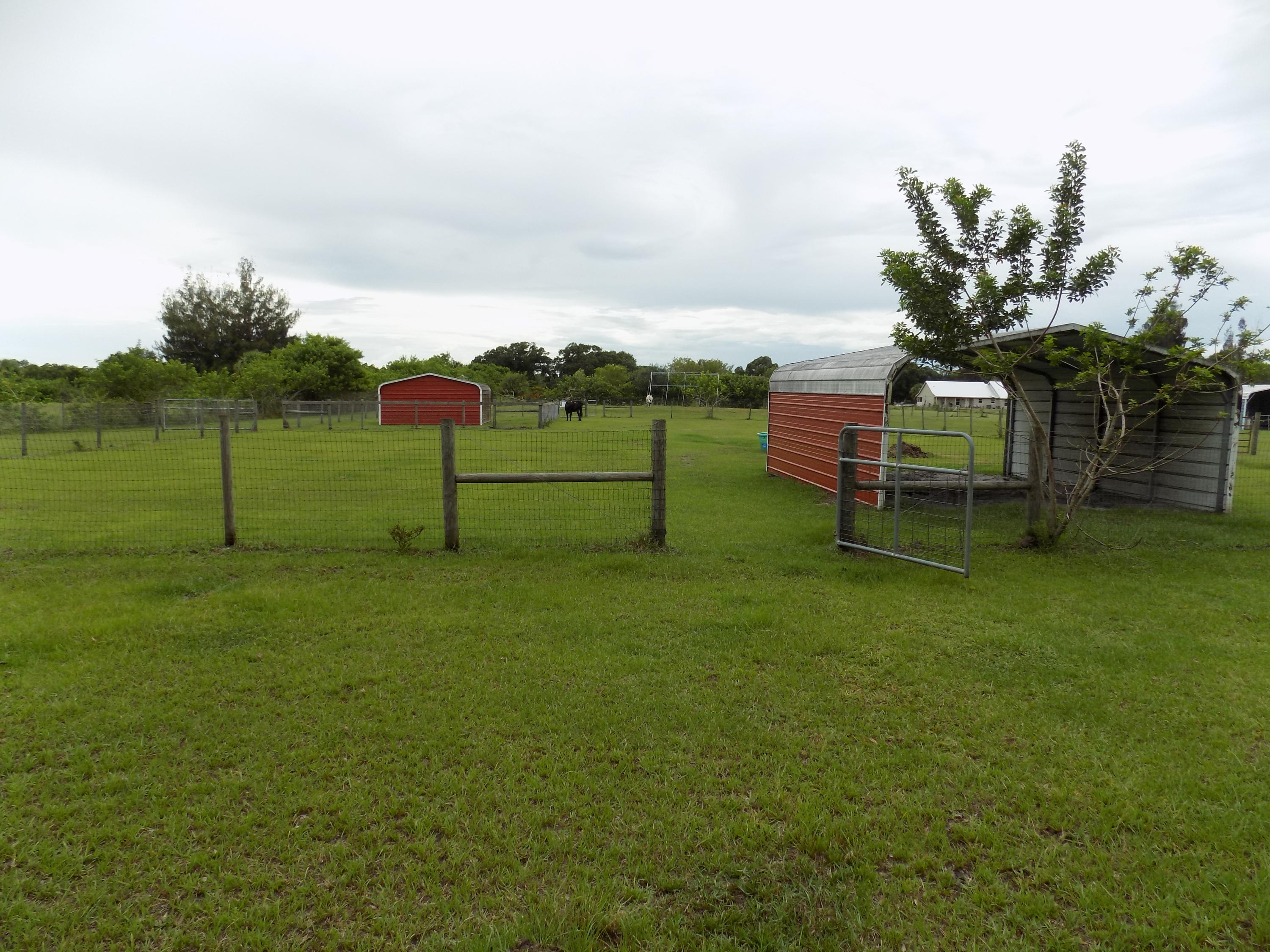 2790 Gentile Road Fort Pierce, FL 34945 - Photo 49 of 52 Back Pasture