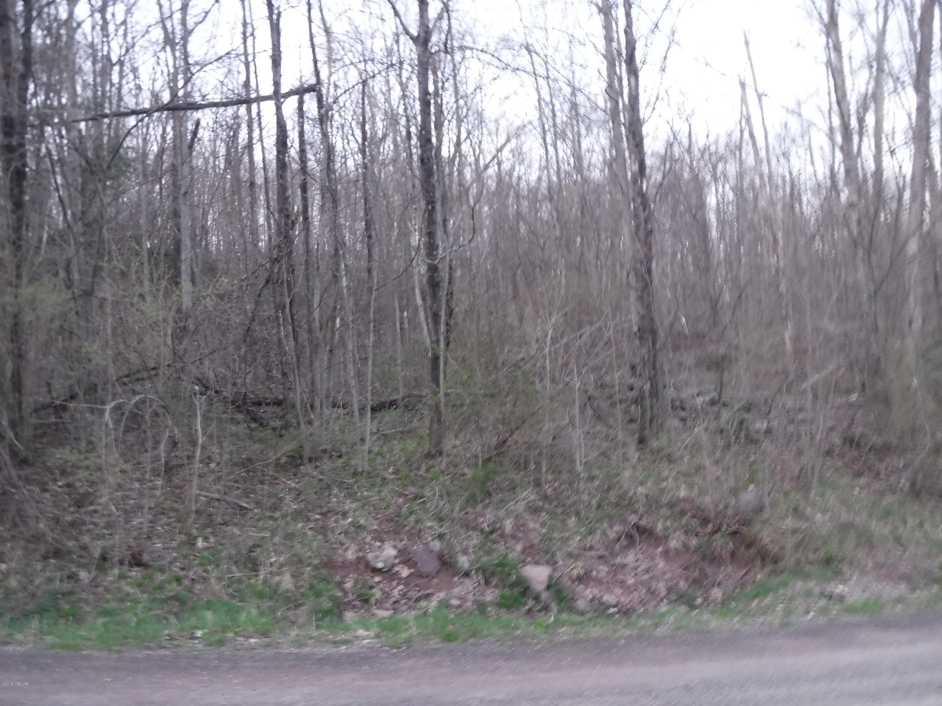 167 Stanton Road Muncy Valley, PA 17758 - Photo 3 of 40 Atkinson 047