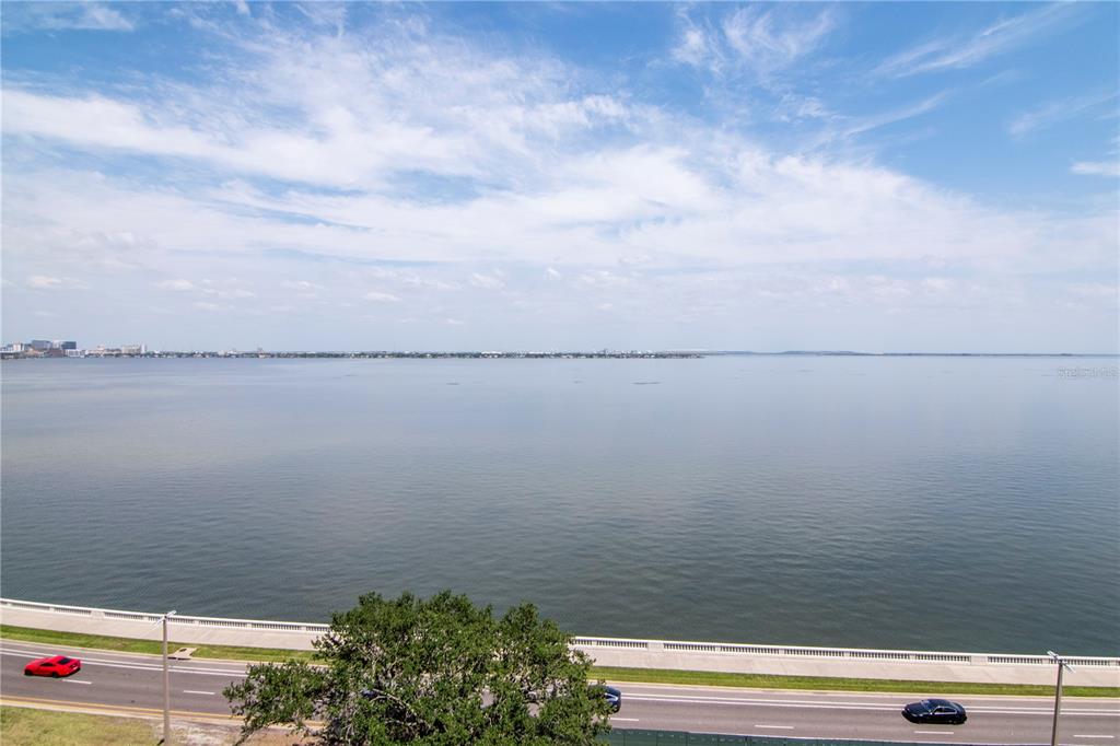 2912 West Santiago Street, Unit 804 Tampa, FL 33629 - Photo 56 of 95