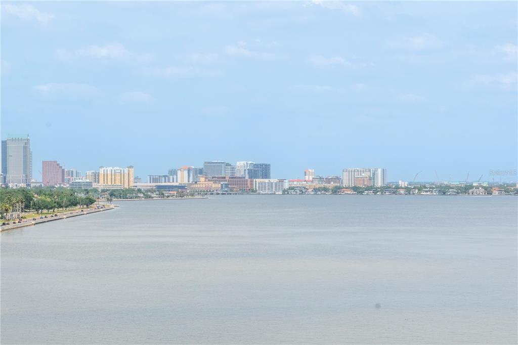 2912 West Santiago Street, Unit 804 Tampa, FL 33629 - Photo 61 of 95