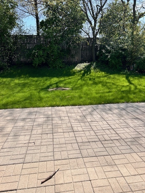 711 Violet Circle Naperville, IL 60540 - Photo 19 of 21 a view of a backyard