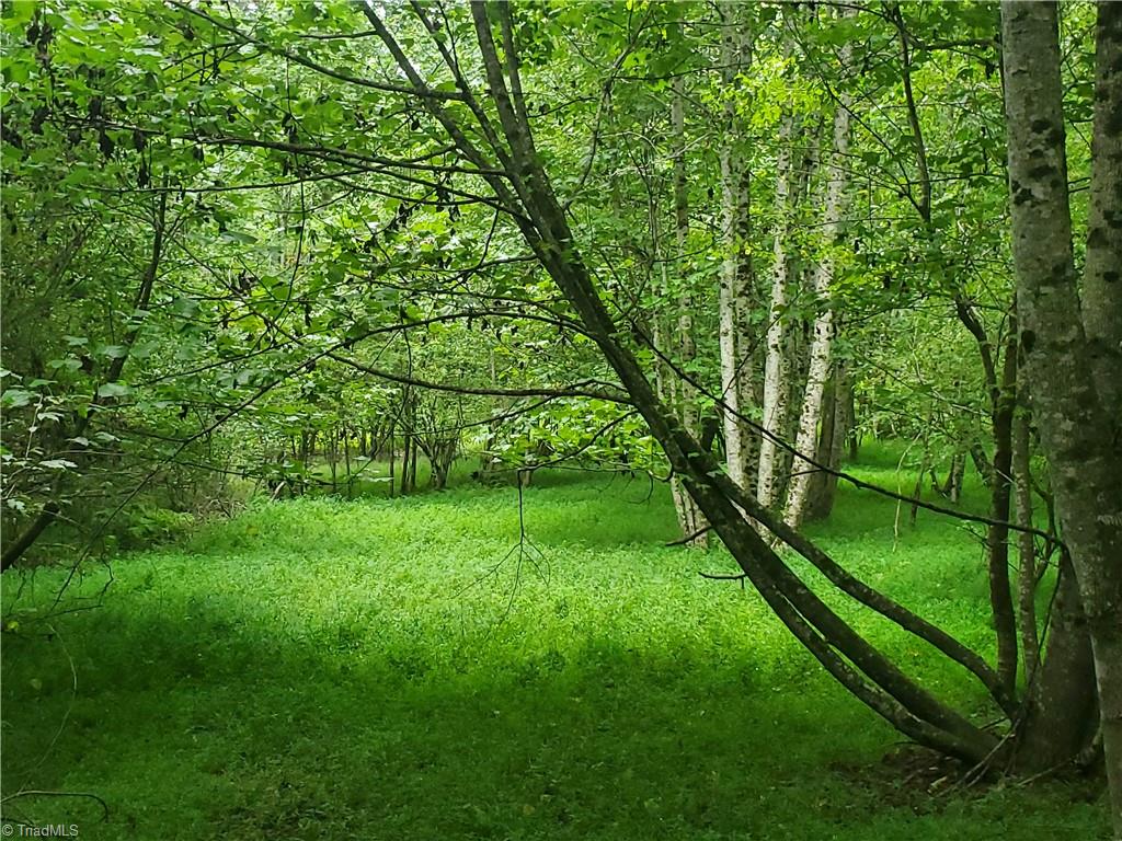 1604 Couchs Fish Lake Road State Road, NC 28676 - Photo 14 of 31 Gallery Image 14
