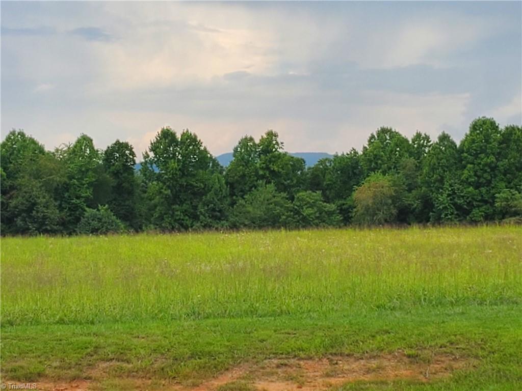 1604 Couchs Fish Lake Road State Road, NC 28676 - Photo 22 of 31 Gallery Image 22