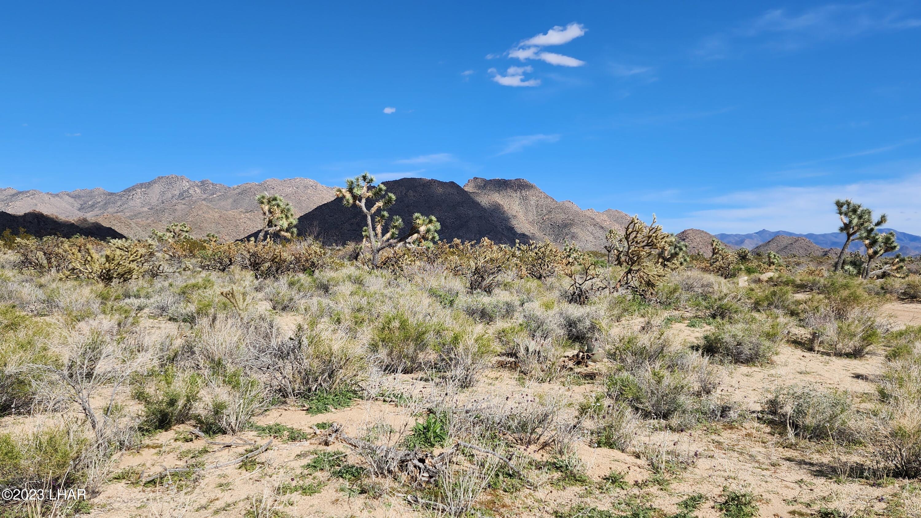 0 South Dennis Road Yucca, AZ 86438 - Photo 13 of 26 20230326_154732