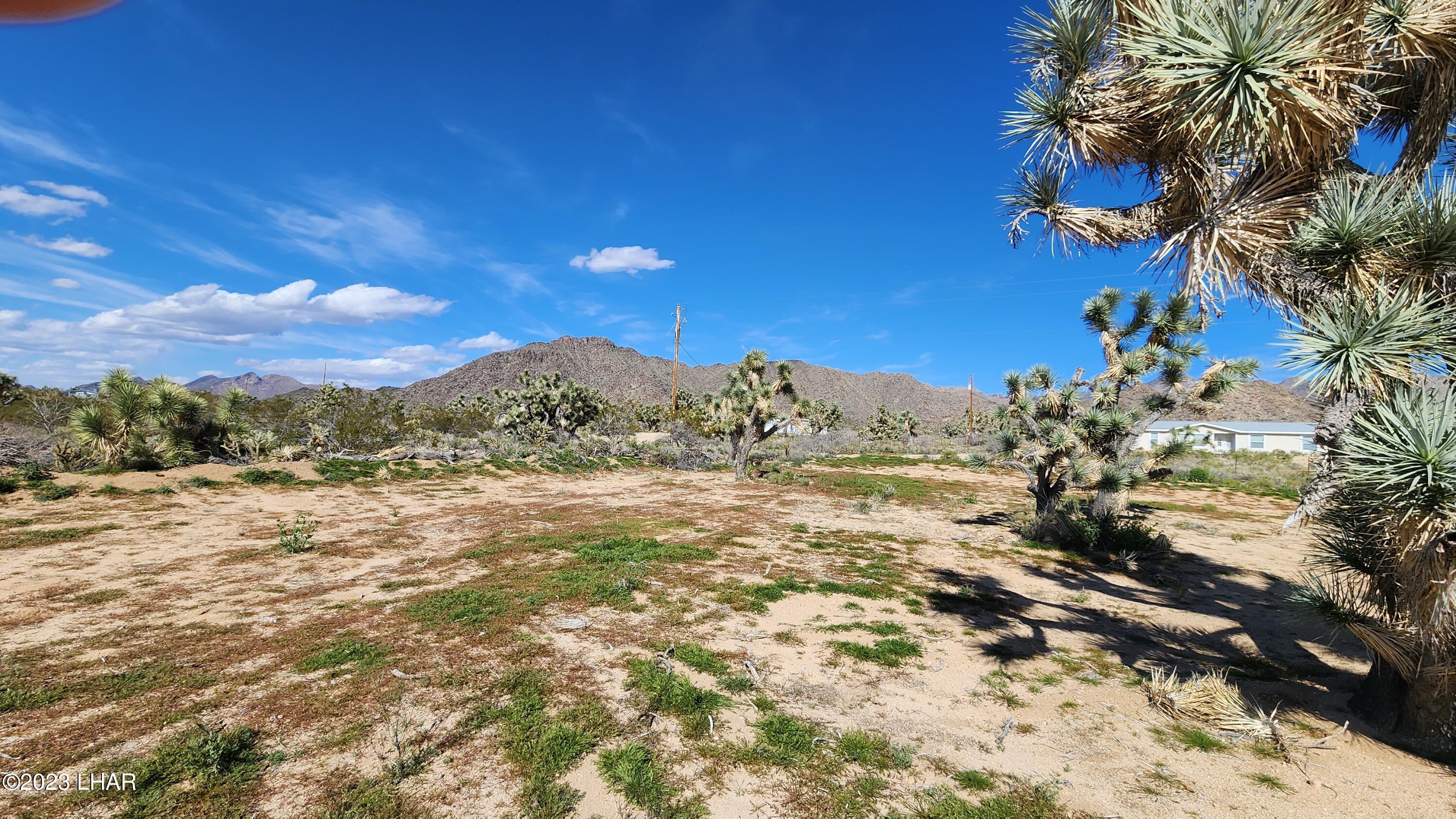 0 South Dennis Road Yucca, AZ 86438 - Photo 14 of 26 View to the east. Across property