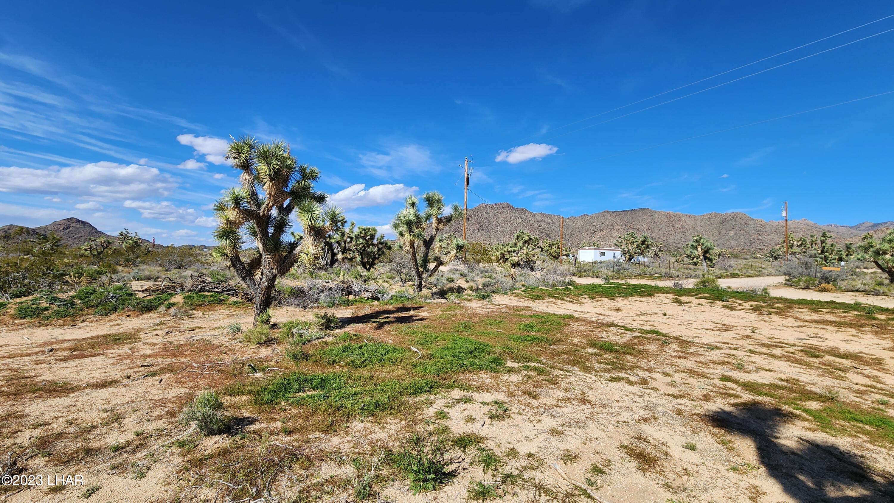 0 South Dennis Road Yucca, AZ 86438 - Photo 15 of 26 20230326_153025