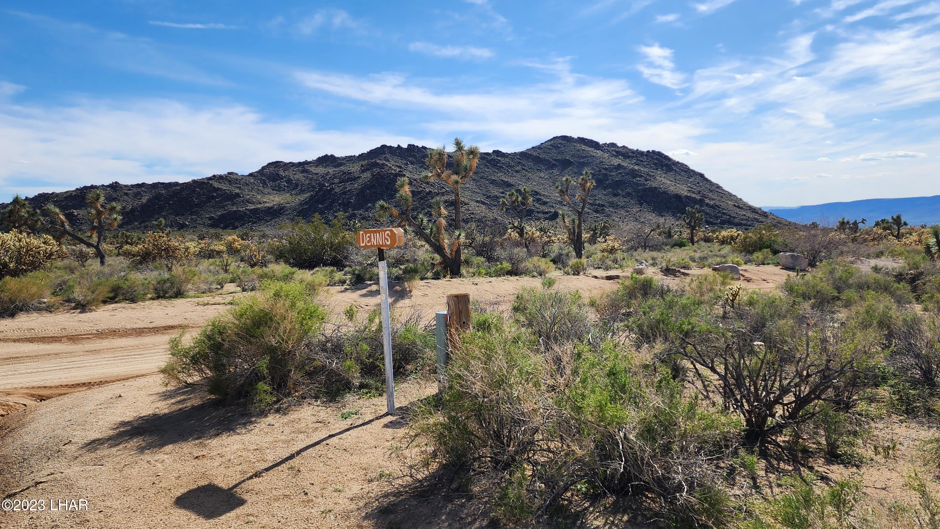 0 South Dennis Road Yucca, AZ 86438 - Photo 17 of 26 20230326_154740