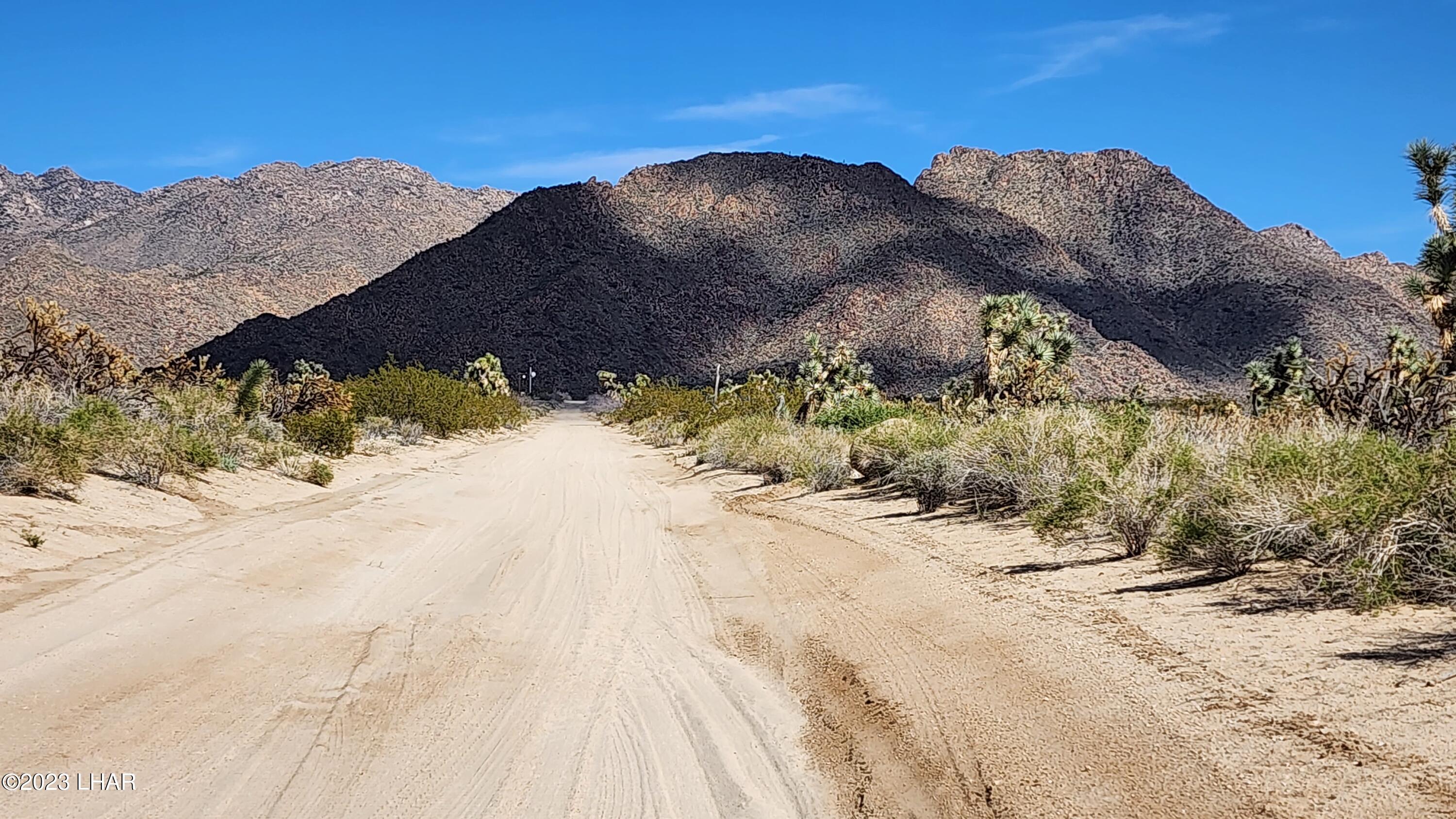 0 South Dennis Road Yucca, AZ 86438 - Photo 19 of 26 20230326_154812