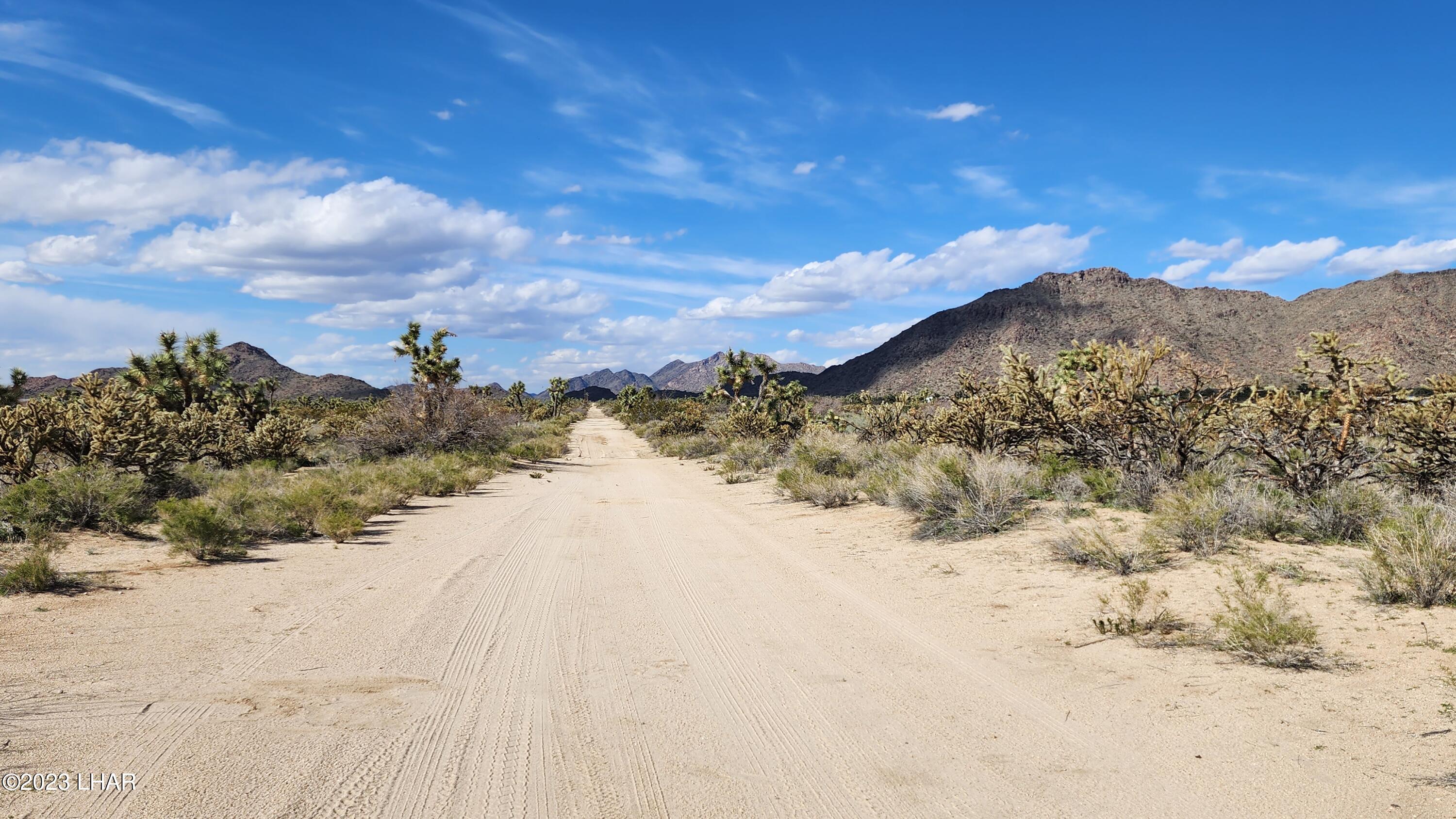 0 South Dennis Road Yucca, AZ 86438 - Photo 20 of 26 20230326_154724