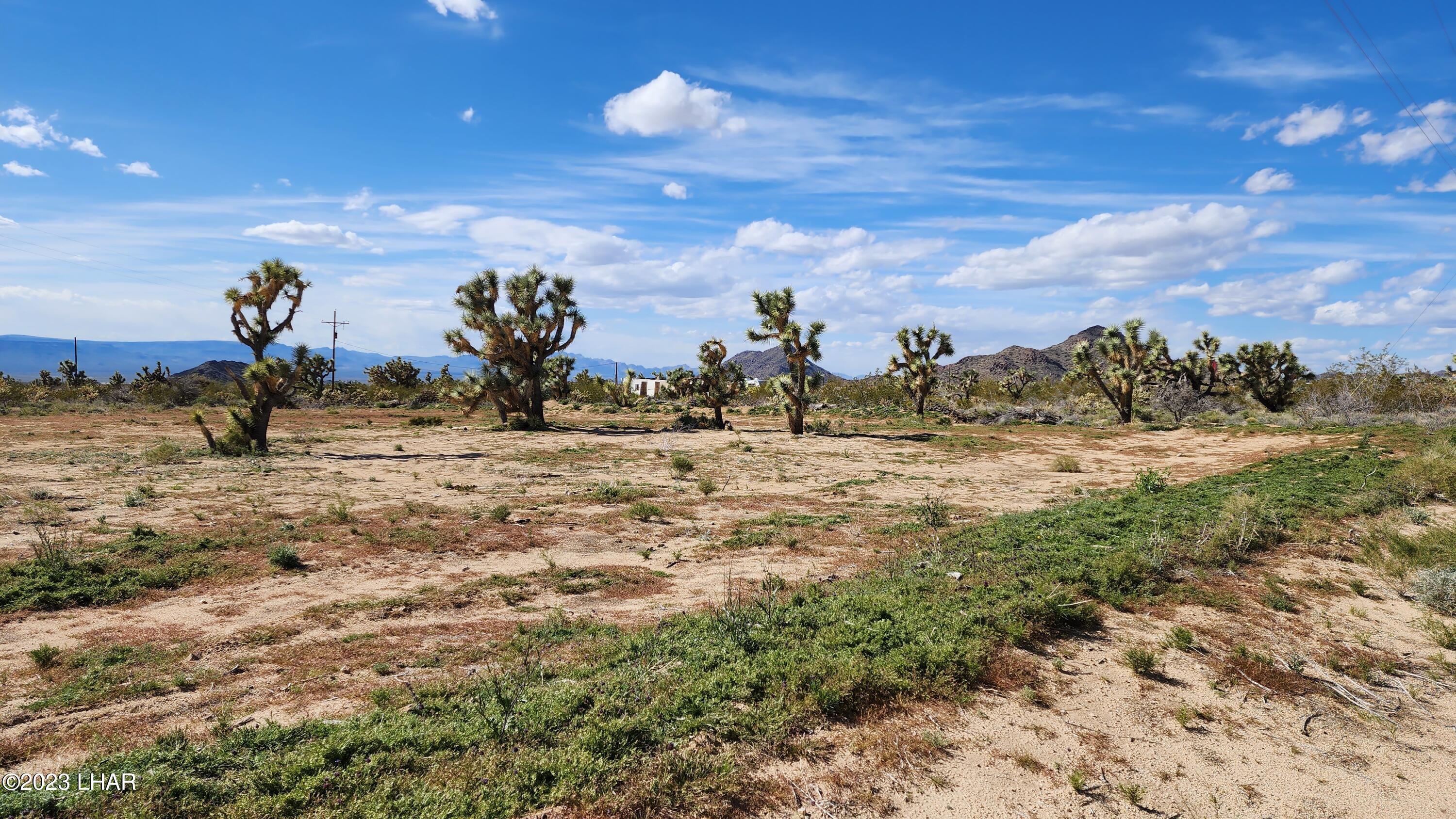 0 South Dennis Road Yucca, AZ 86438 - Photo 2 of 26 Building pad cleared