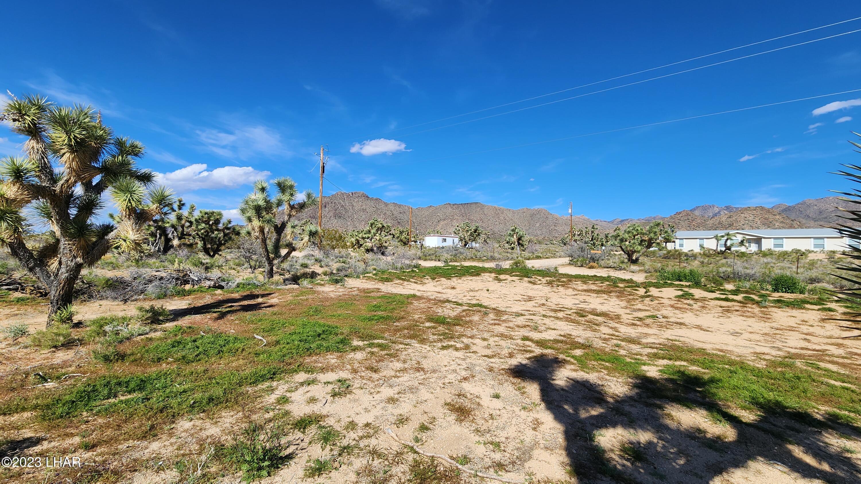 0 South Dennis Road Yucca, AZ 86438 - Photo 21 of 26 East view from lot