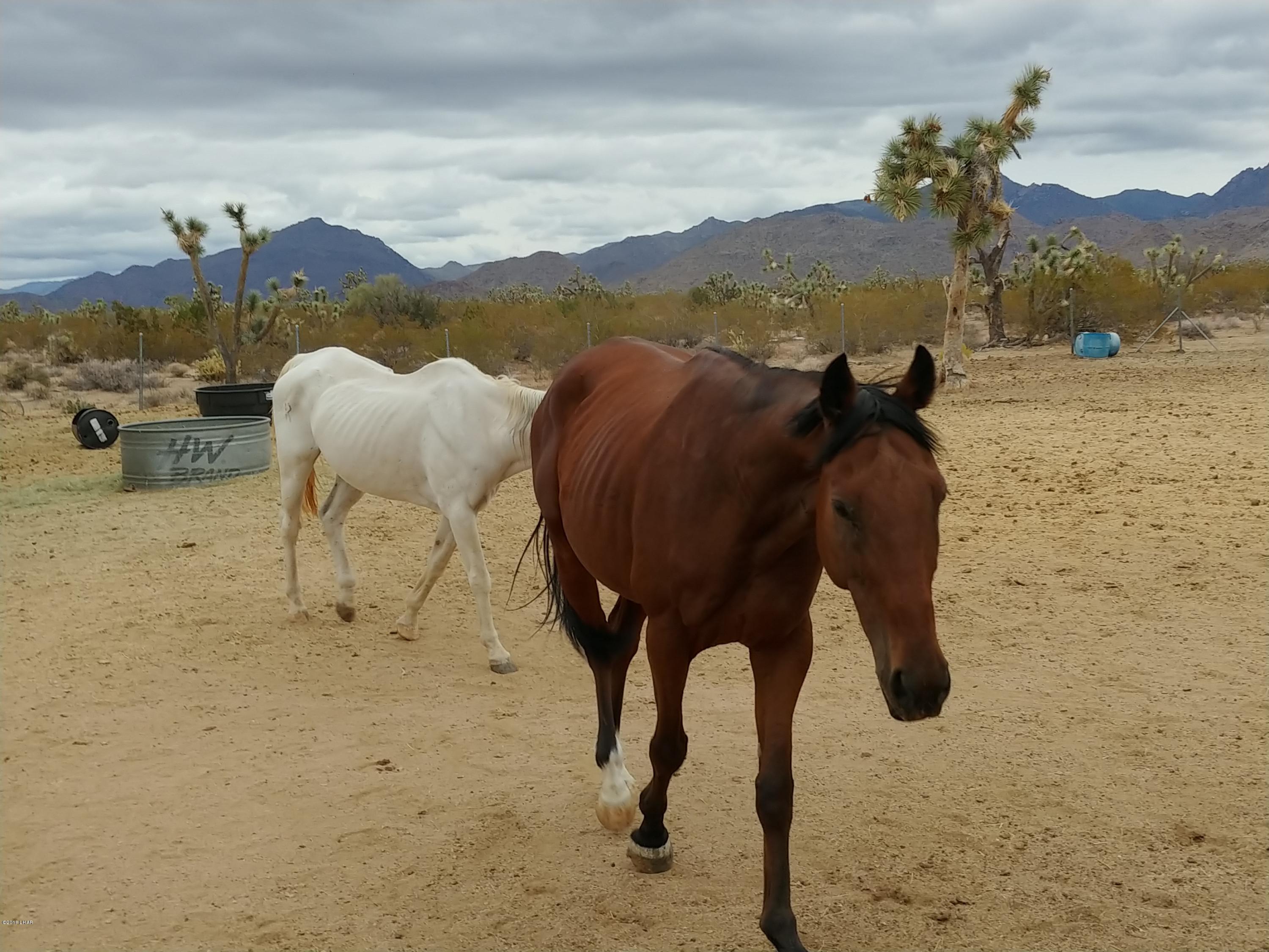 0 South Dennis Road Yucca, AZ 86438 - Photo 23 of 26 Horses allowed