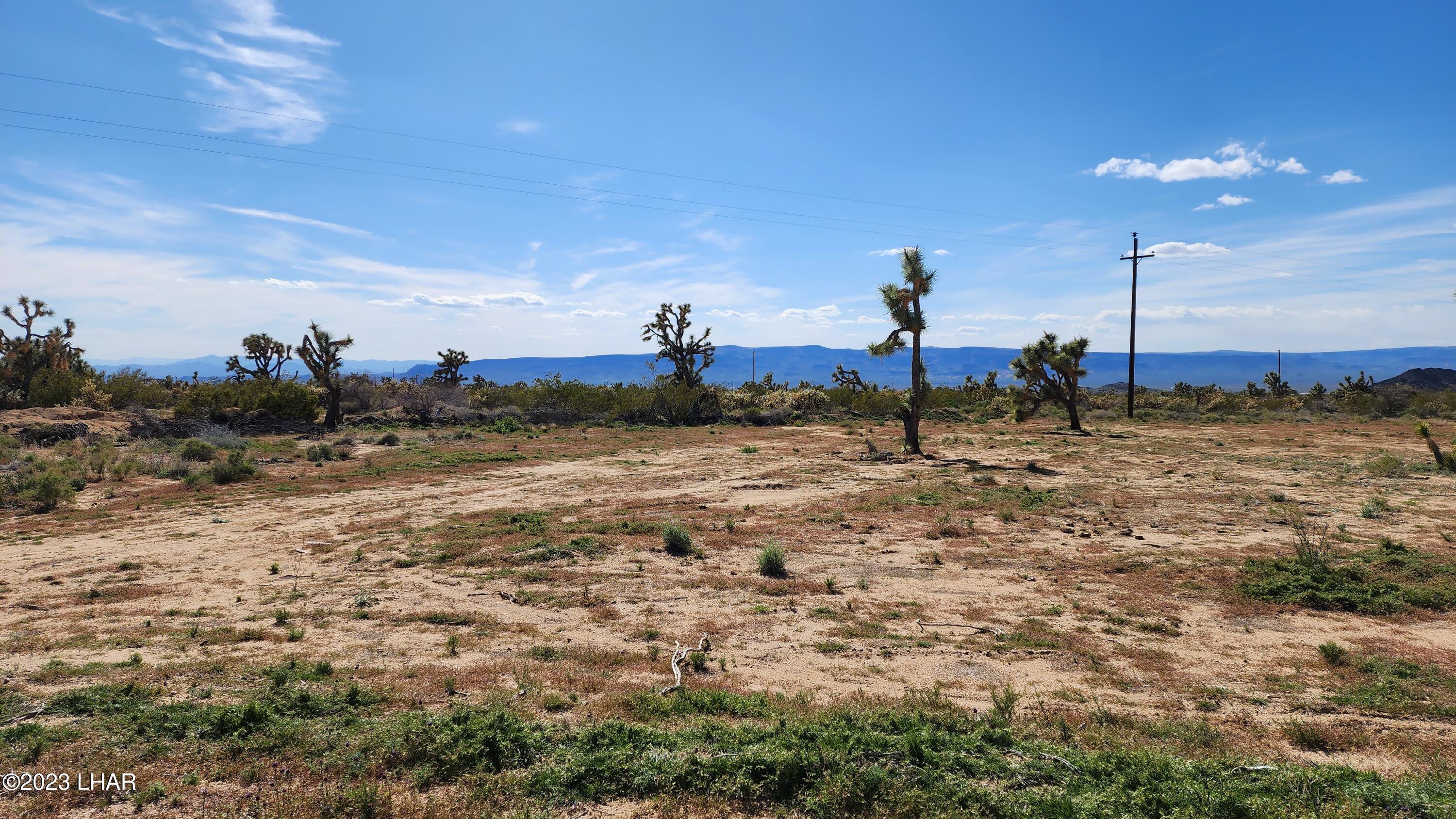 0 South Dennis Road Yucca, AZ 86438 - Photo 4 of 26 20230326_152831