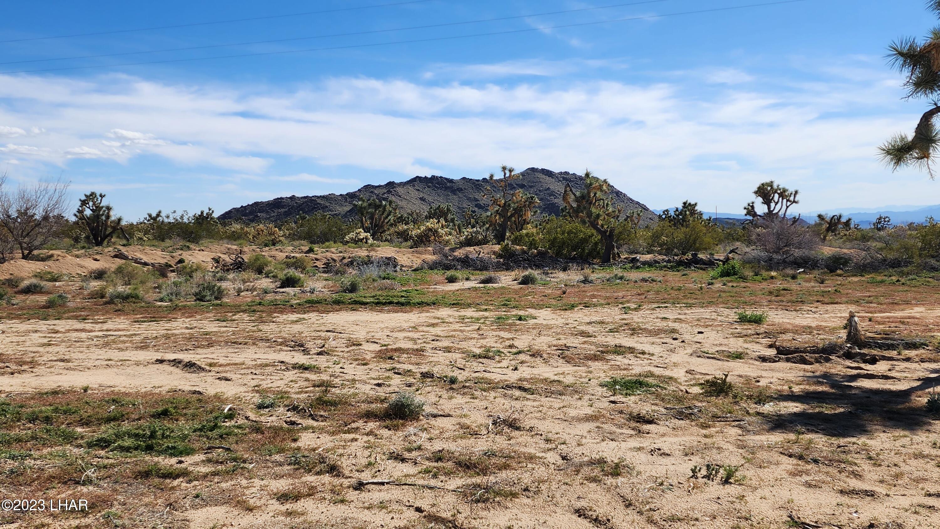 0 South Dennis Road Yucca, AZ 86438 - Photo 5 of 26 20230326_152904