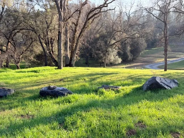 $34,900 | 19691 Ferretti Road, Groveland, CA 95321