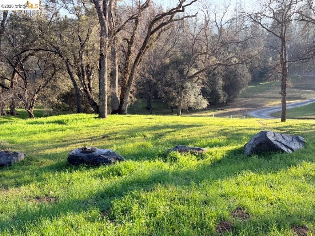 a view of a golf course with a yard