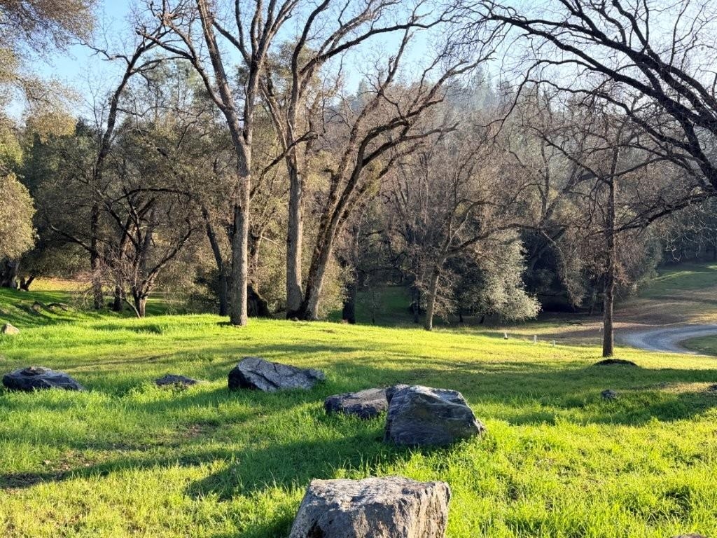 19691 Ferretti Road Groveland, CA 95321 - Photo 11 of 42