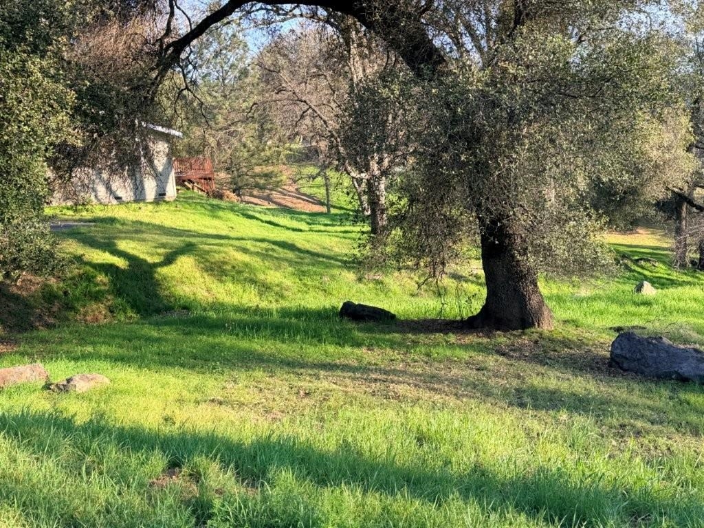 19691 Ferretti Road Groveland, CA 95321 - Photo 12 of 42