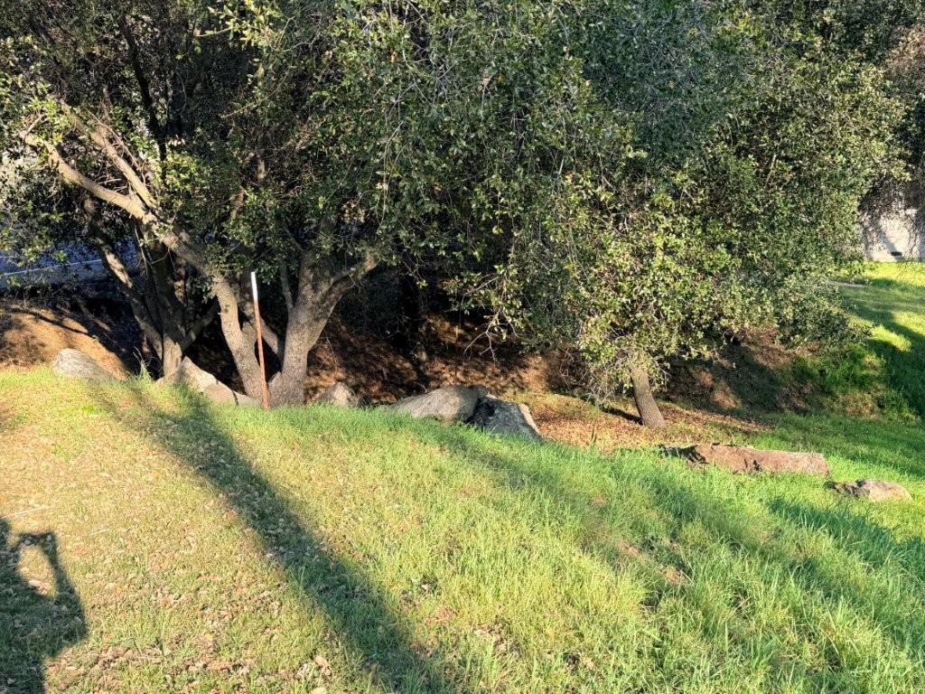 19691 Ferretti Road Groveland, CA 95321 - Photo 13 of 42