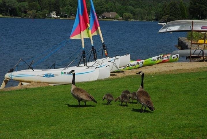 19691 Ferretti Road Groveland, CA 95321 - Photo 23 of 42