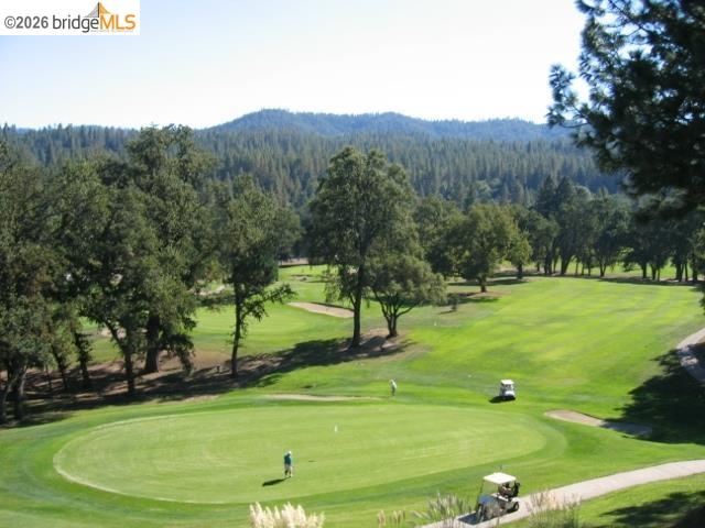 19691 Ferretti Road Groveland, CA 95321 - Photo 30 of 42 a view of a park with large trees
