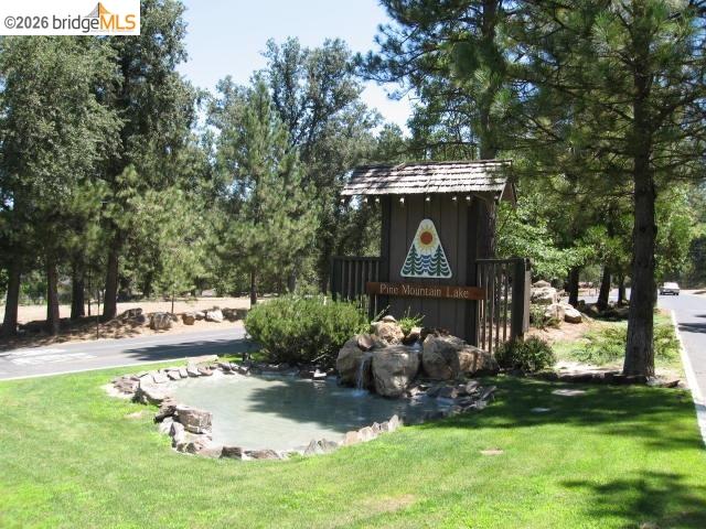 19691 Ferretti Road Groveland, CA 95321 - Photo 33 of 42 a view of a garden with a bench