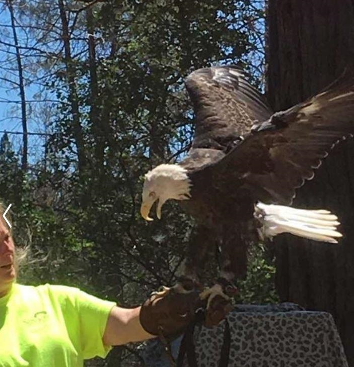 19691 Ferretti Road Groveland, CA 95321 - Photo 39 of 42