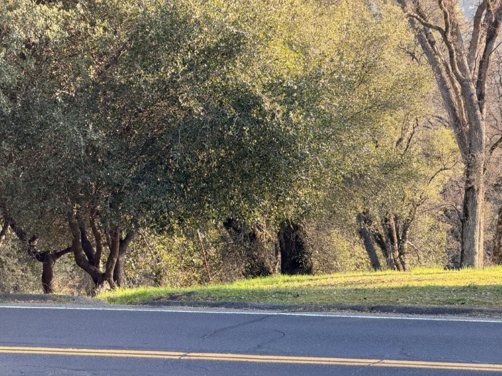 19691 Ferretti Road Groveland, CA 95321 - Photo 5 of 42