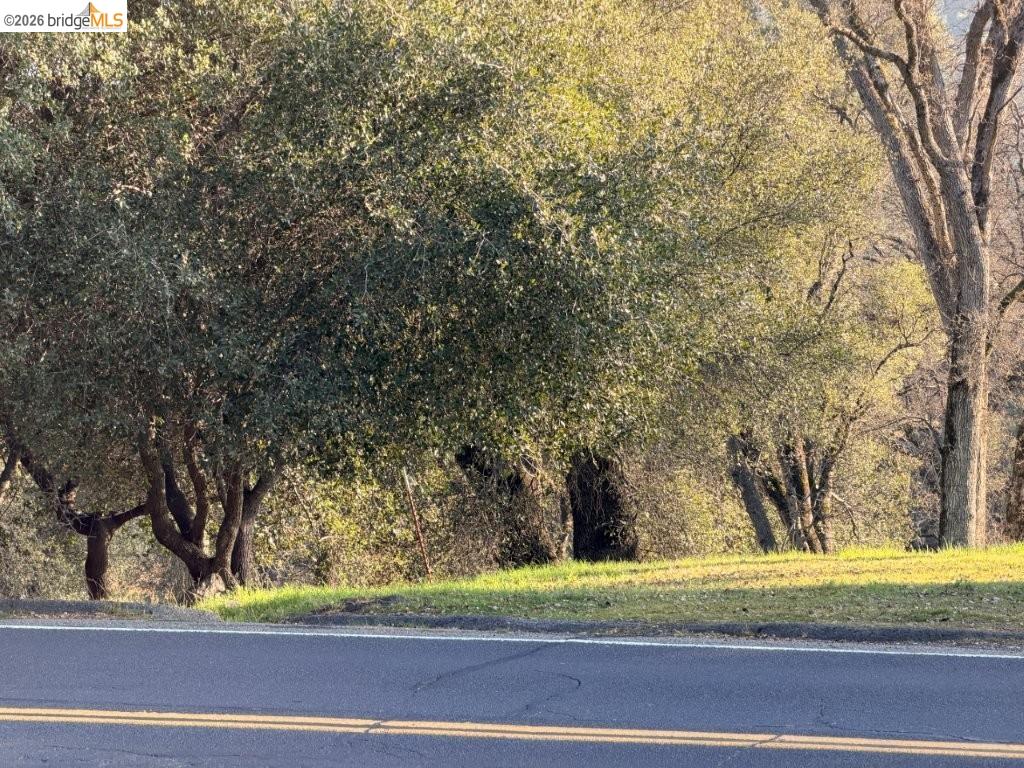 19691 Ferretti Road Groveland, CA 95321 - Photo 5 of 42 a view of a yard in a field