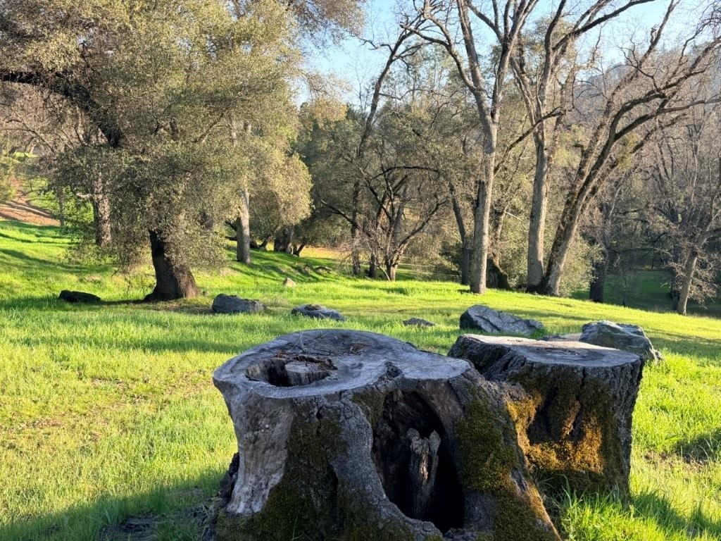 19691 Ferretti Road Groveland, CA 95321 - Photo 6 of 42