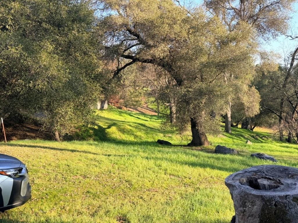 19691 Ferretti Road Groveland, CA 95321 - Photo 7 of 42