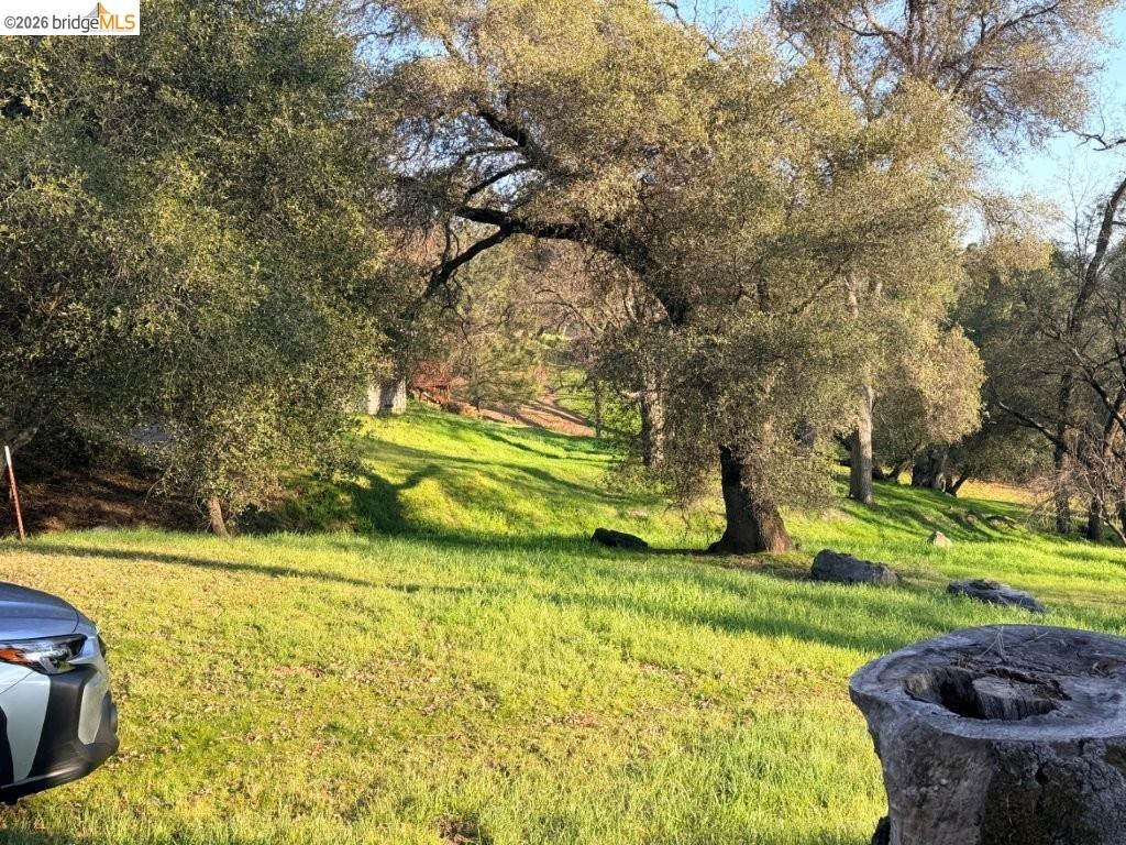 19691 Ferretti Road Groveland, CA 95321 - Photo 7 of 42 a view of a backyard with swimming pool