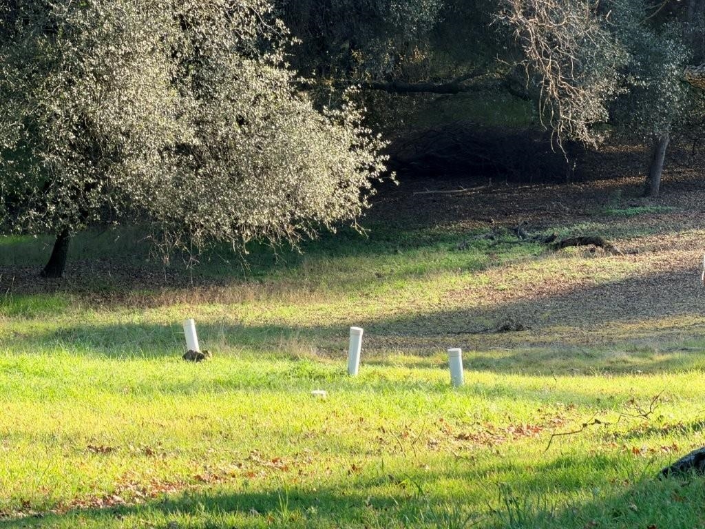 19691 Ferretti Road Groveland, CA 95321 - Photo 8 of 42