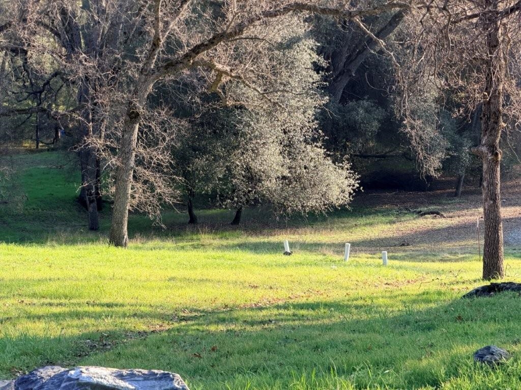 19691 Ferretti Road Groveland, CA 95321 - Photo 9 of 42