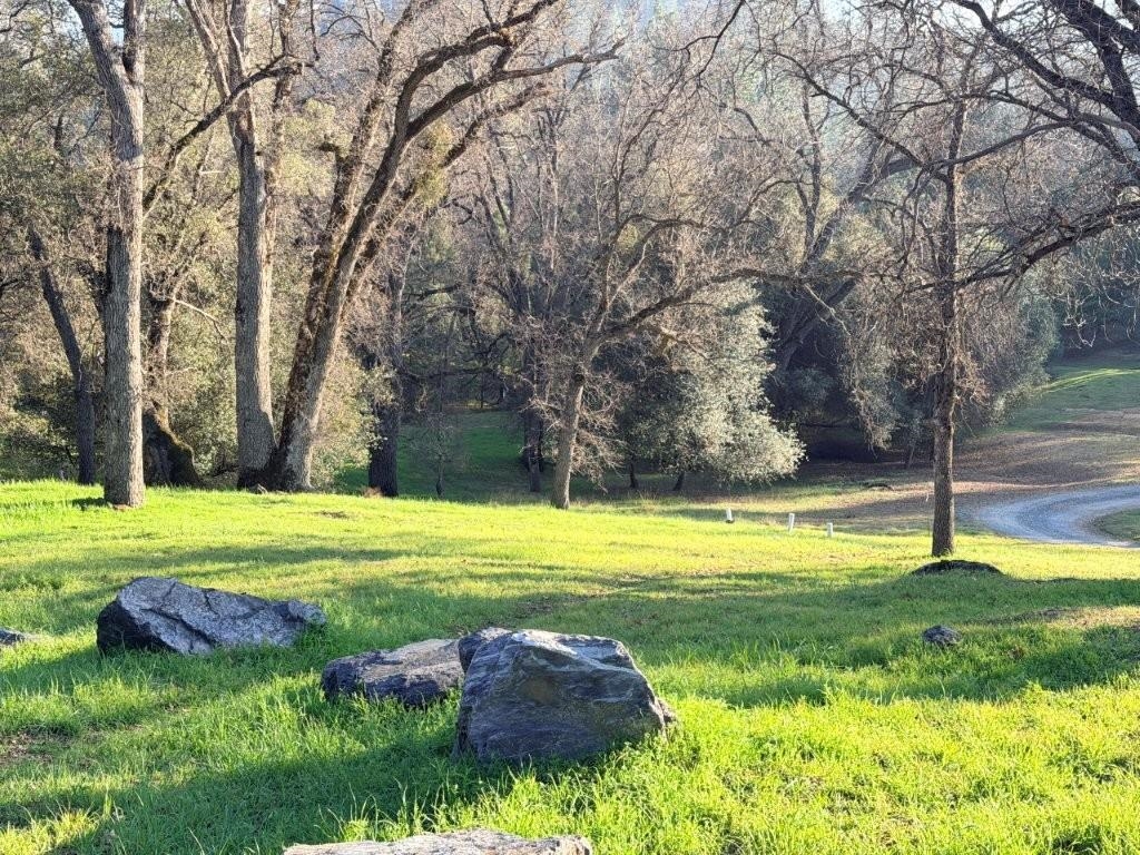 19691 Ferretti Road Groveland, CA 95321 - Photo 10 of 42