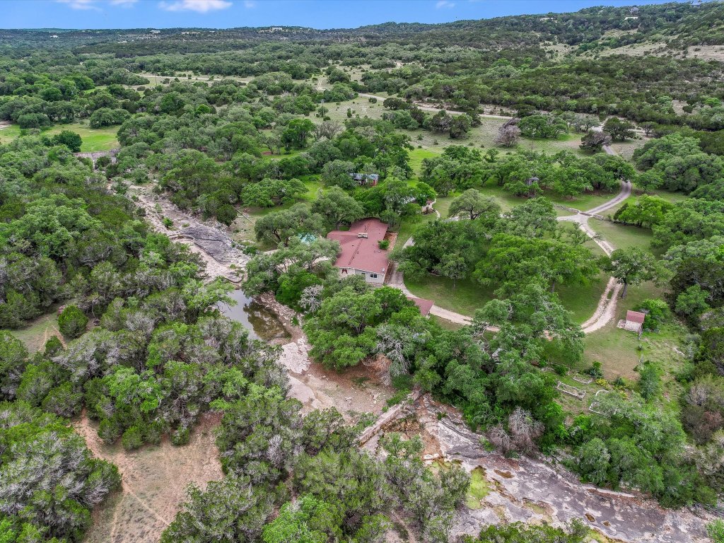 1500 Spoke Hollow Road Wimberley, TX 78676 - Photo 38 of 39 a view of a lush green forest with lots of trees