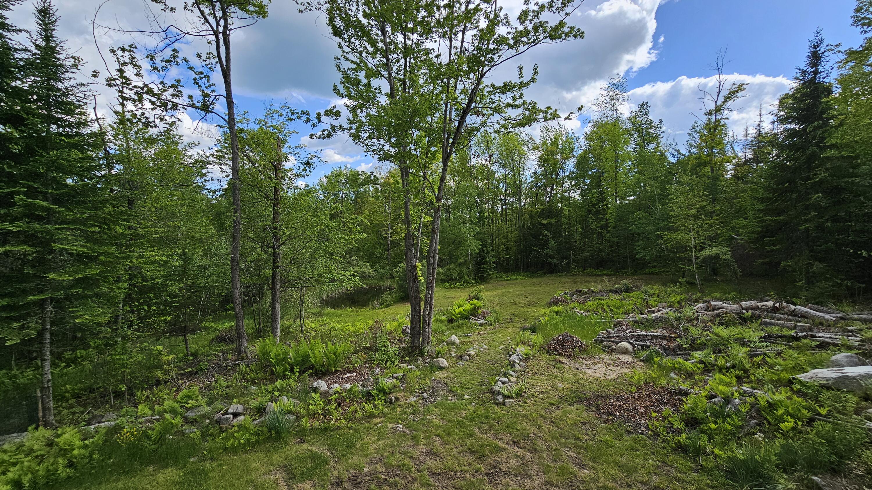 271 Bigelow Road St. Albans, ME 04971 - Photo 43 of 60 View of Pond