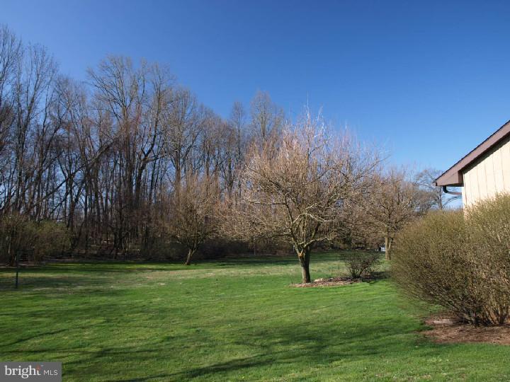 5768 Palm Road Zionsville, PA 18092 - Photo 3 of 15 Gallery Image 3