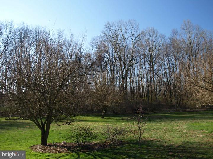5768 Palm Road Zionsville, PA 18092 - Photo 4 of 15 Gallery Image 4