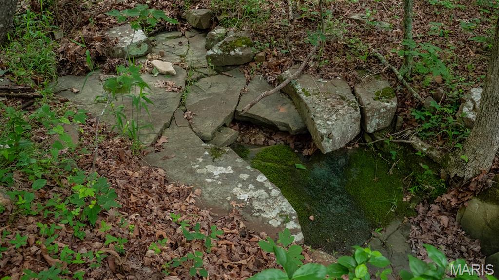 0 Hwy M Cabool, MO 65689 - Photo 54 of 68