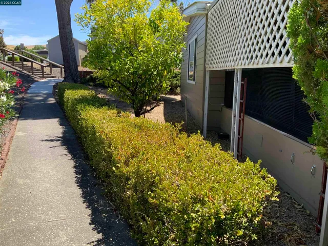 a view of a backyard with plants