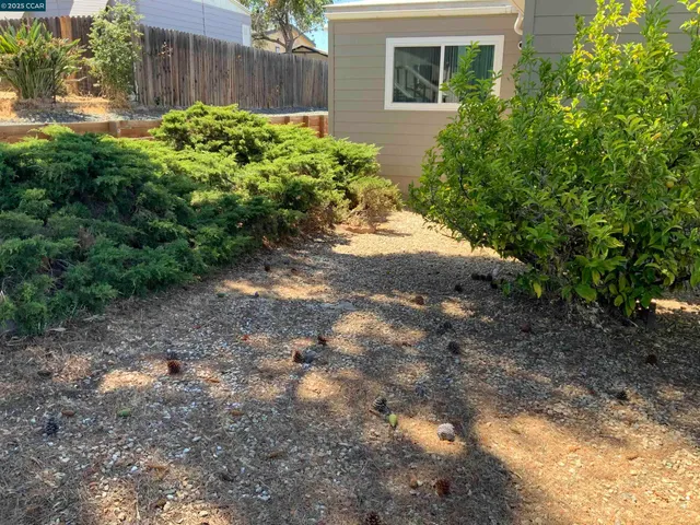 a view of a backyard with potted plants