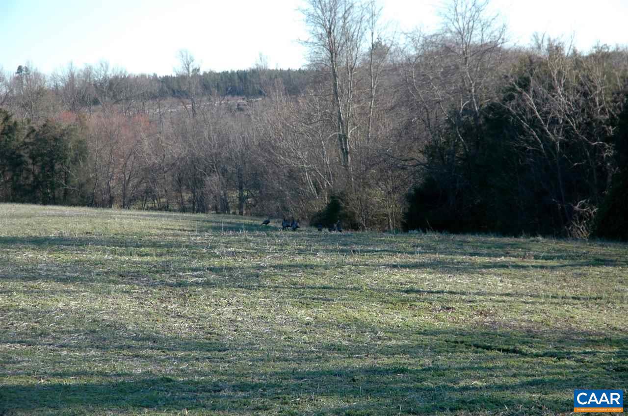 3015 Kents Mill Road Louisa, VA 23093 - Photo 19 of 31 Gallery Image 19