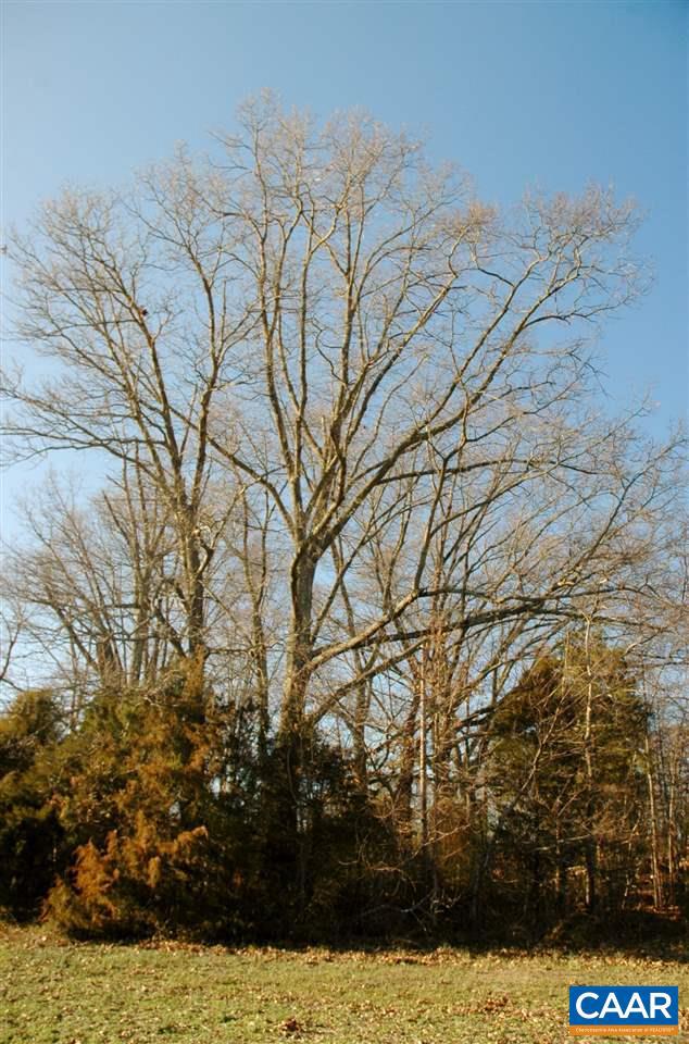 3015 Kents Mill Road Louisa, VA 23093 - Photo 22 of 31 Gallery Image 22