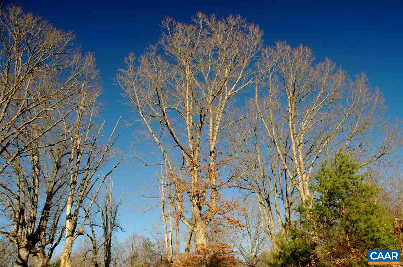 3015 Kents Mill Road Louisa, VA 23093 - Photo 23 of 31 Gallery Image 23